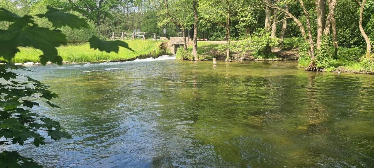 Lesne Dziady Holiday home Borsk