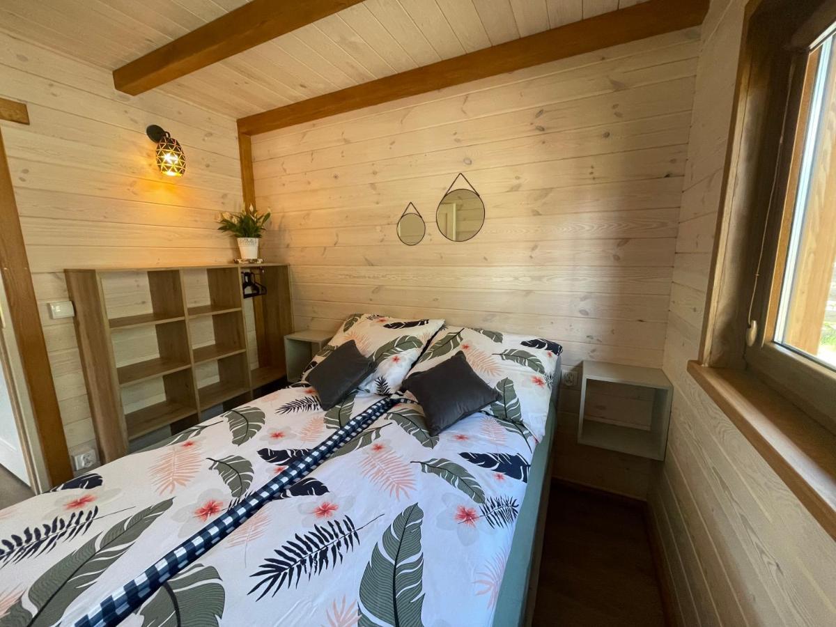 Lesne Dziady Holiday home Borsk