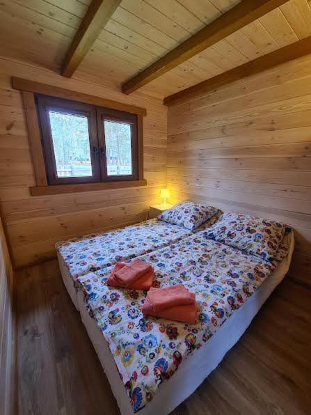 Lesne Dziady Holiday home *